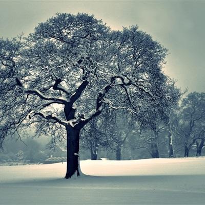 beat365中国在线体育