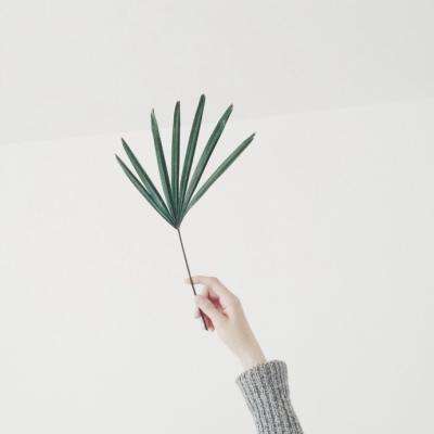 BOB体育综合app入口截图